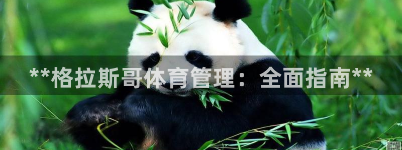 必一体育网站：**格
