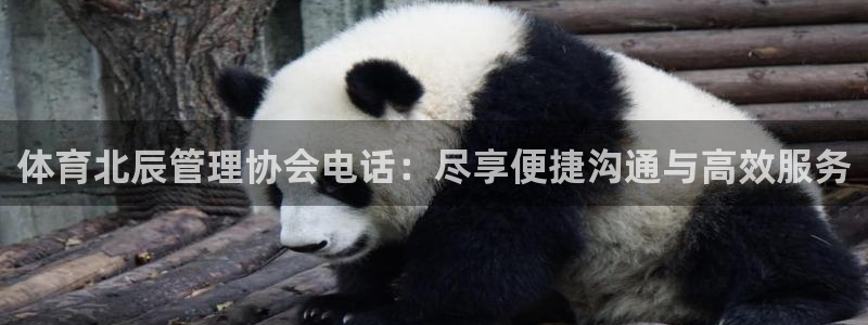 必一体育APP下载安