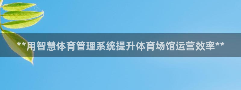 必一运动 b 体育素