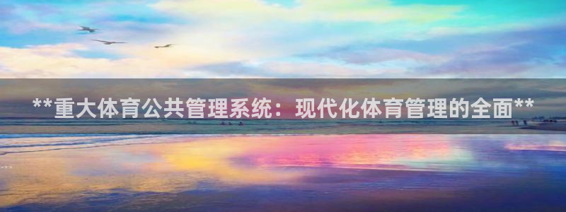 必一体育运动app下