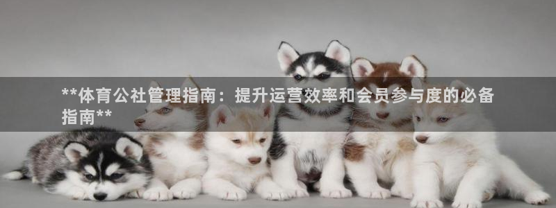 b体育必一运动网页版