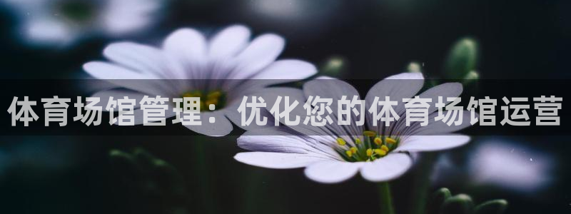 必一体育app平台下