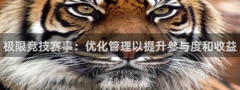 必一运动：极限竞技赛