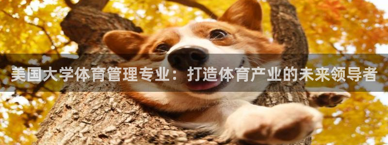 必一体育登录入口AP