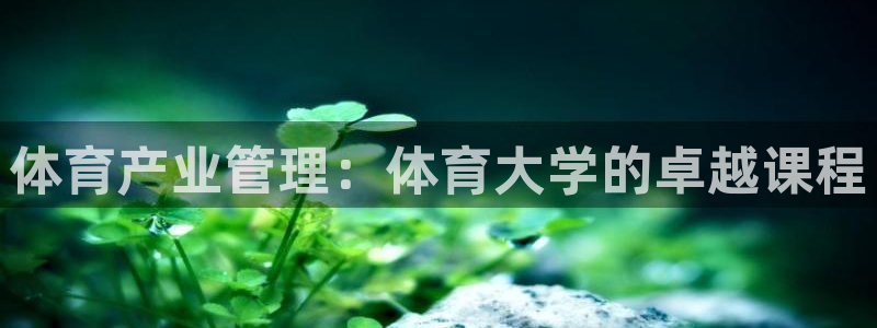 必一体育网页：体育产