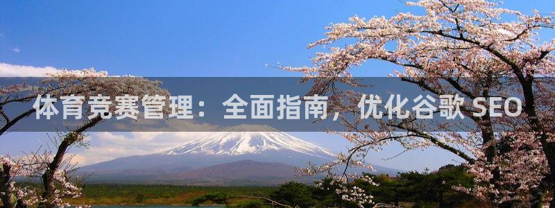 必一体育网页登录版官