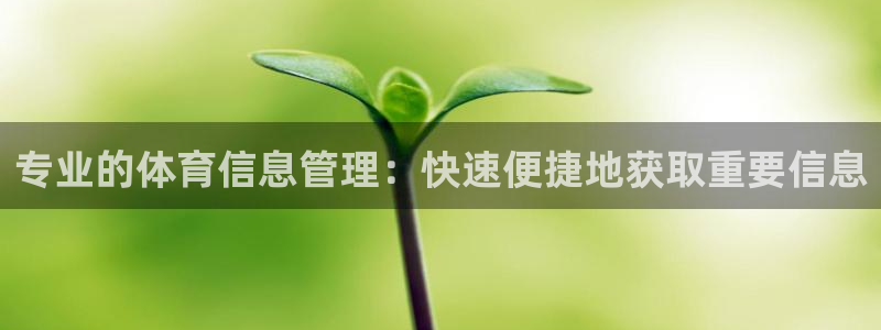 必一体育怎么下载：专