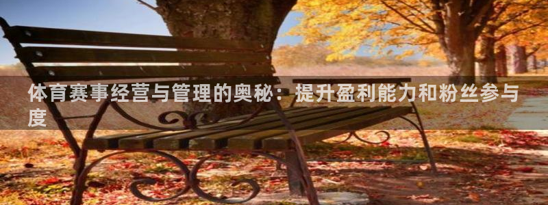 b体育官网下载入口a