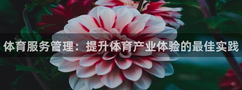 必一体育登录：体育服
