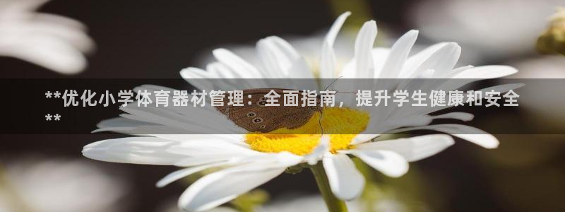 必一体育登录：**优