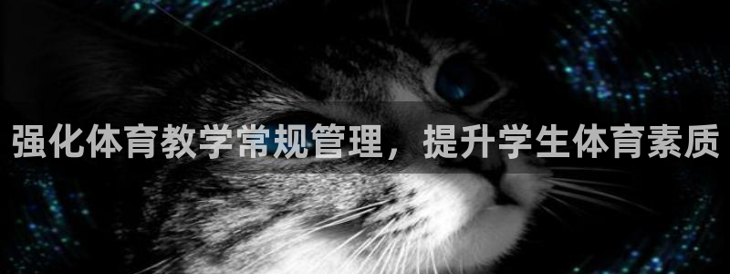 必一运动sport爱