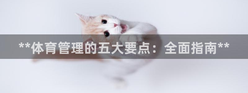 必一体育下载一样吗：