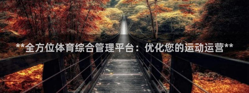 必一体育流水线是什么