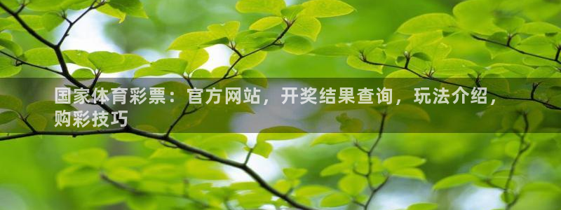 必一体育黑钱：国家体