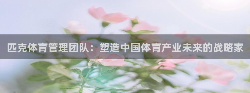 必一体育下载移动版：