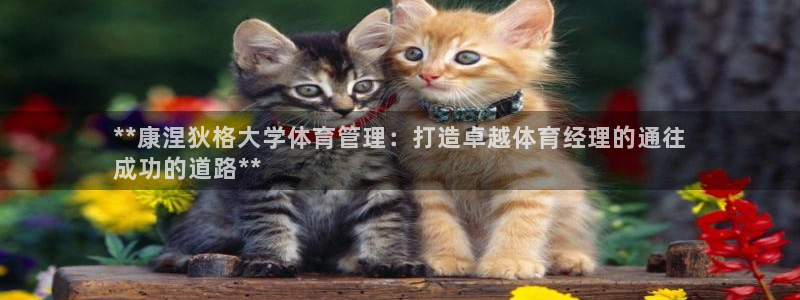 必一体育官网网址：*