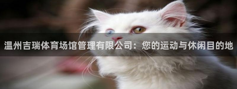 必一体育app平台下