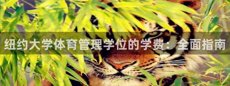 必一体育登入：纽约大