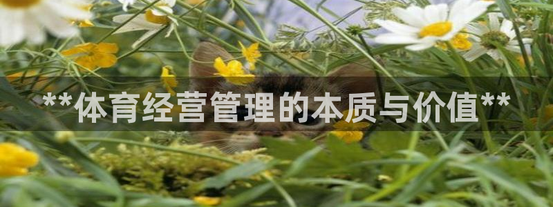 必一体育网站：**体