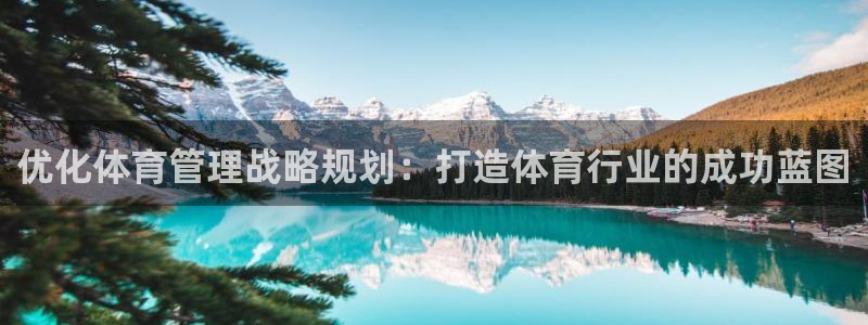 必一体育验证码：优化