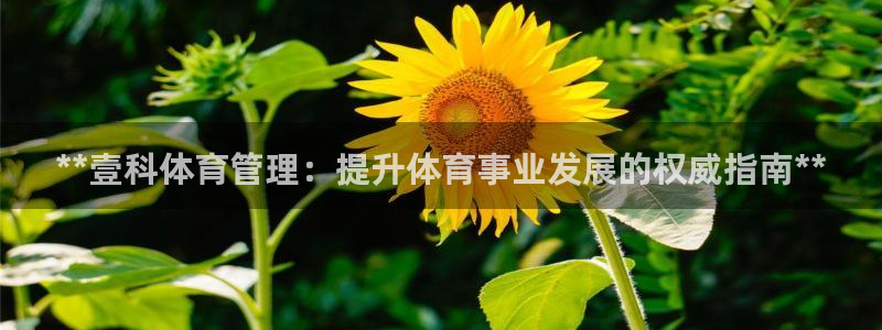 必一体育周公：**壹