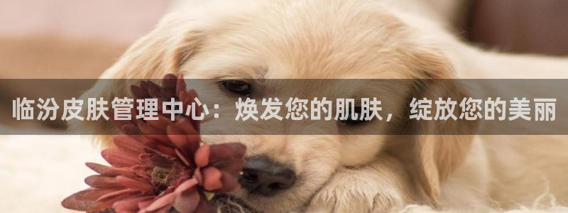 必一体育验证码：临汾