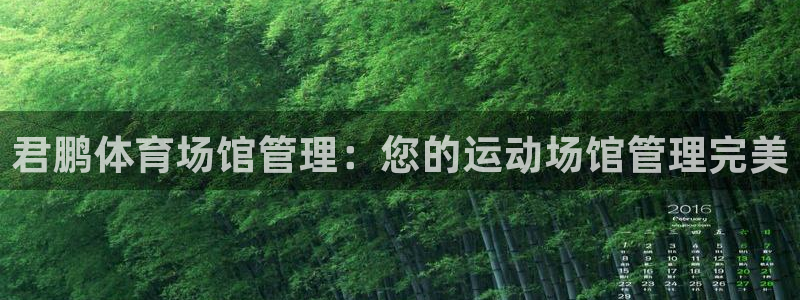 必一体育在线下载：君