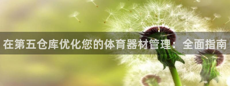 必一体育怎么下载：在