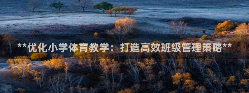 必一体育网页版登录：