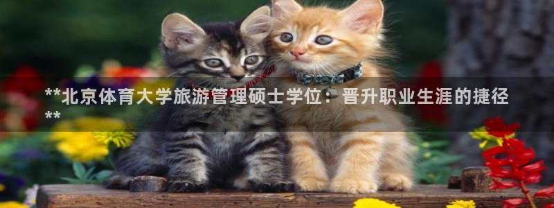 必一运动aop：**