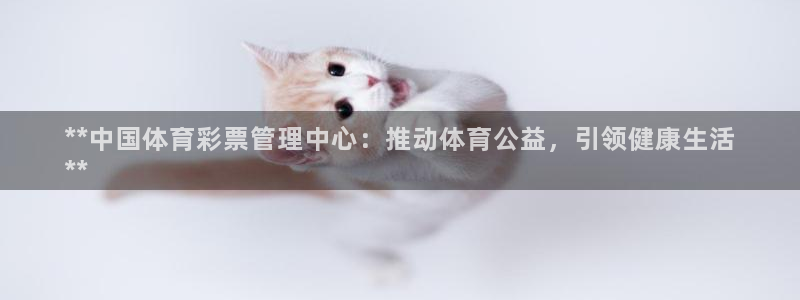 必一体育app下载装
