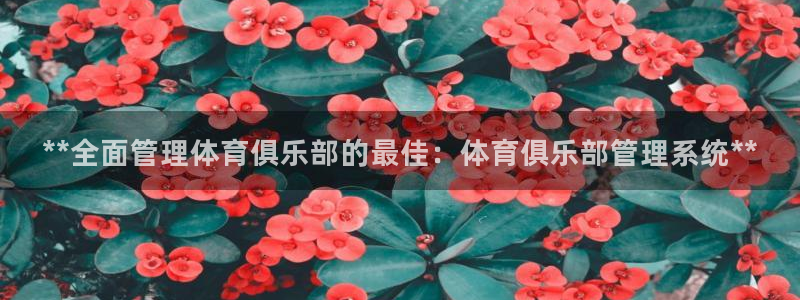 必一运动体育官网：*