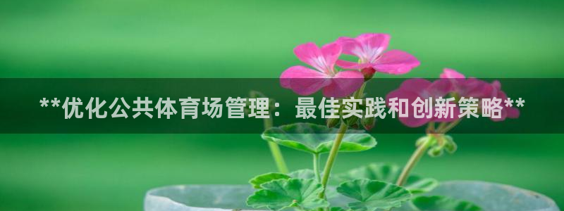 必一体育在线官网：*