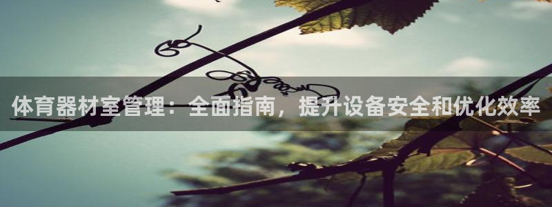 必一运动体育官网下载