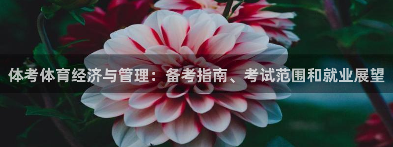 必一体育电子app：