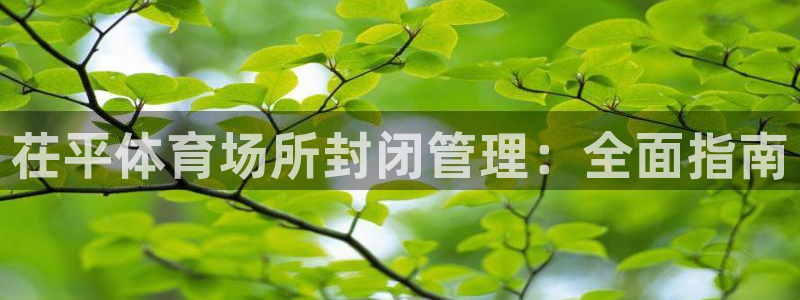 必一运动听的歌：茌平
