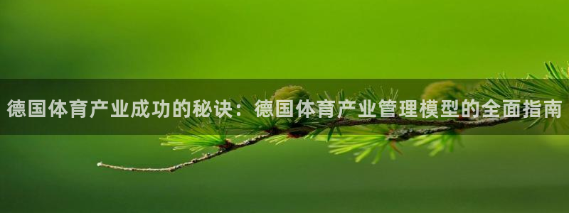 b体育必一下载：德国