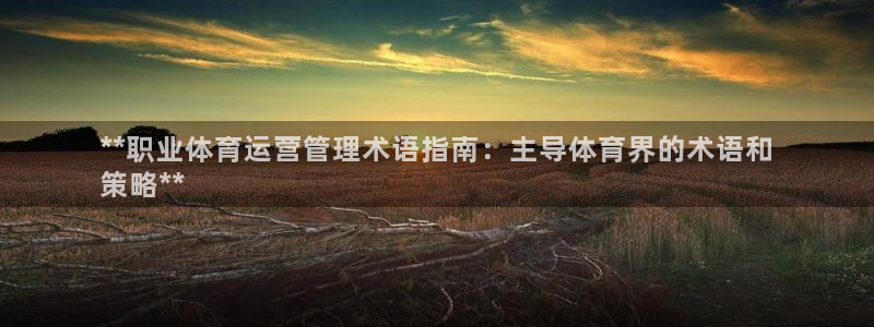 必一体育官网ios下