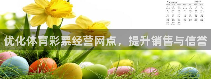 必一运动·体育：优化