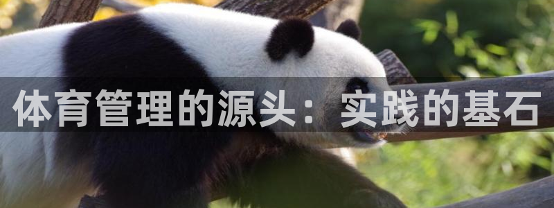 必一体育sport下