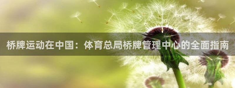 必一体育在哪下：桥牌