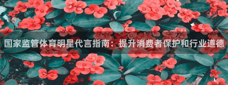 必一体育网页登录版官