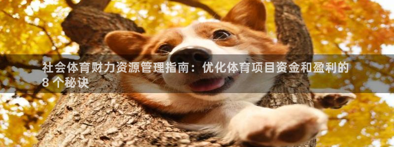 必一体育sport官