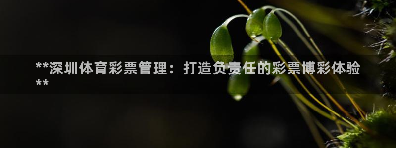 必一运动官网入口：*