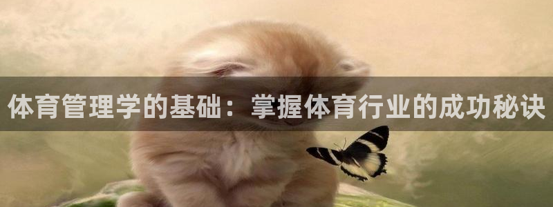 必一体育合法吗：体育