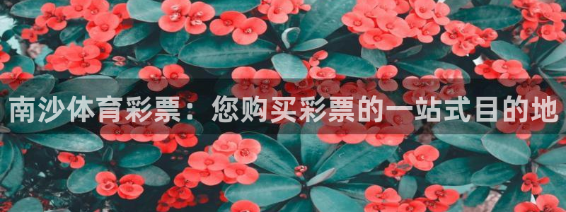 必一体育平台：南沙体