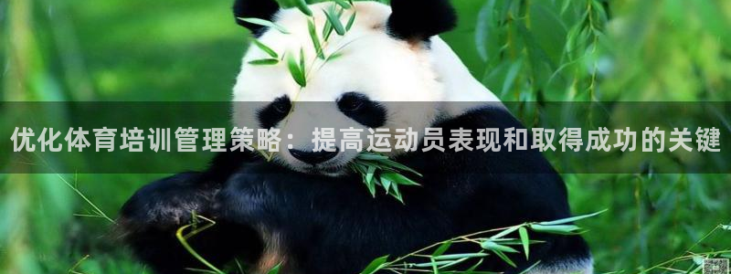 必一运动体育：优化体