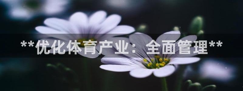 必一体育app平台下