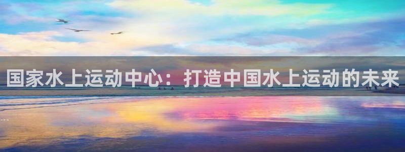 必一体育运动app下