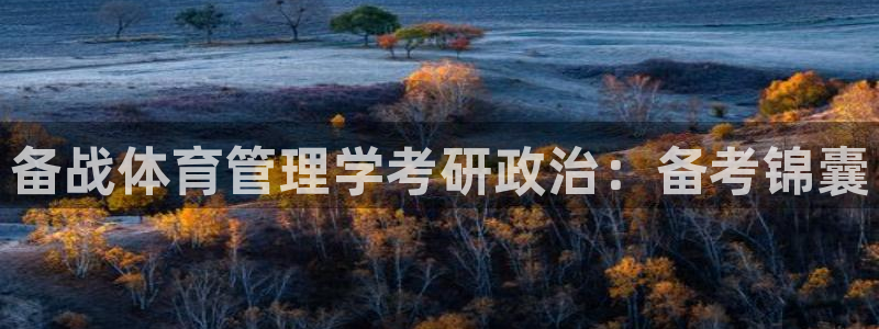 必一体育sport网
